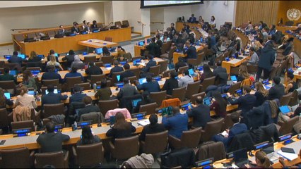 유엔 총회 3위원회, 북한 인권 결의 채택...북한은 반발 / YTN