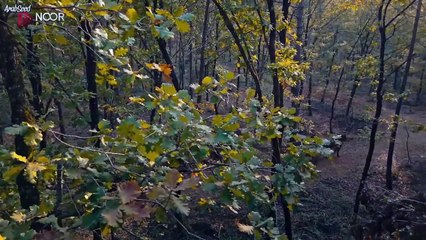 المؤسس اورهان الجزء الأول ـ الحلقة 3 ـ الجزء (2/2)