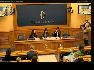 Roma - Presentazione P.D.L - Conferenza stampa di Mara Carfagna (19.11.25)