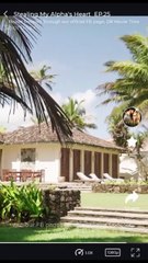 Stealing My Alpha's Heart [ NEW MOVIE RELEASES ]