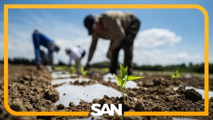 Beyond the myths: What labor trafficking really looks like in Nebraska