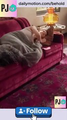 Sleeping with the President Short Drama FULL MOVIES ENGLISH SUB