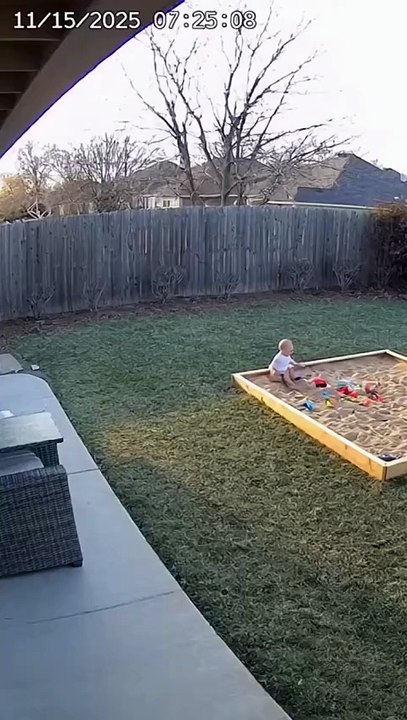 Heroic Mom Sprints to Save Baby as Bobcat...
