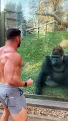 A lighthearted moment between a zoo...