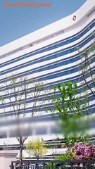 The Family’s Little ‘Plant Psychic’： How a Little Girl Became Nature’s Voice! CN #abel #shortfilm