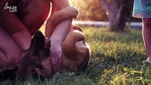 The Surprising Behavior Dogs Share with Humans.mp4