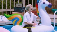 A Vacation with SKZ [Fmv]