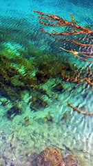 Relaxing Nature Ambience – Peaceful Cinematic Scenery