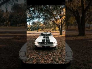 ’67 Ghost Ford Mustang by ECD | 465 PS mit Klassiker Optik #Mustang #Restomod #V8 #Tuning #Oldtimer