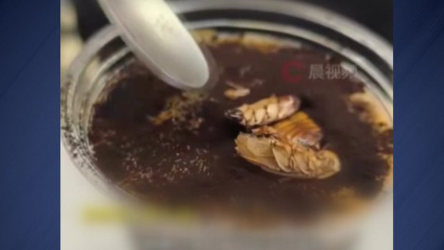 [나우쇼츠] 바퀴벌레 커피가 9,000원?...이색 곤충 커피 / YTN