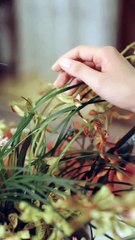 He regreted when she marry his gentle uncle after his cheating #kdrama.#cdrama #love