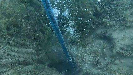 Sapanca Gölü’nde kabarcık paniği: Uzmanlardan ‘deprem değil, doğal gaz çıkışı’ açıklaması