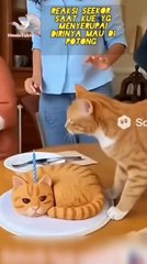 "The lightning-fast movement of a cat when a cake that looks like it is about to be cut."