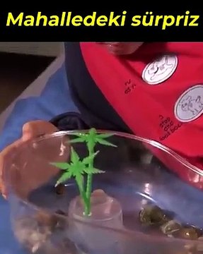 Yeni hayatımıza hoş geldiniz