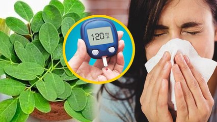 Moringa Health Benefits: किन बीमारियों में मोरिंगा सबसे ज़्यादा काम आता है? कब, कैसे खाएं | Boldsky