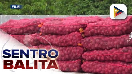 Presyo ng sibuyas, inaasahang bababa na susunod na Linggo ayon sa D.A.; onion importation, hanggang Disyembre lang ayon sa ahensya | ulat ni Vel Custodio