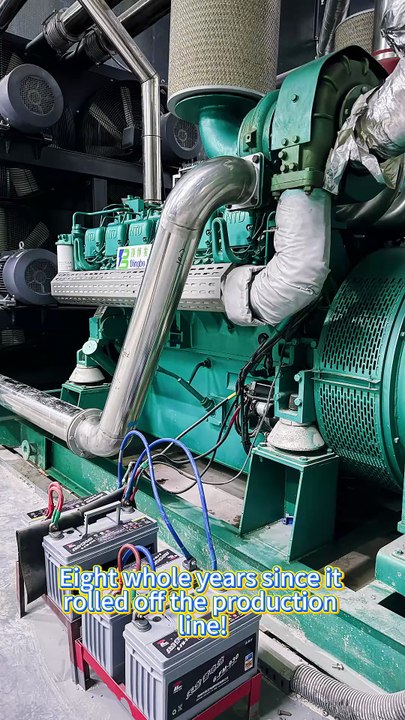 1500kW Diesel Generator Set Provides Power for Large City Mall