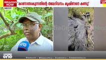 'നായ്‍യെ കിട്ടിയാൽ കുട്ടി എവിടെ ഉണ്ടെന്ന് അറിയാൻ പറ്റും'