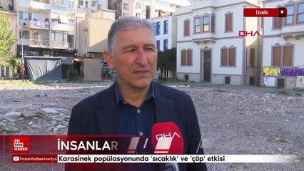 İzmir'de karasinek popülasyonunda 'sıcaklık' ve 'çöp' etkisi