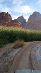 Paradise found in Wadi Disah 🌄✨