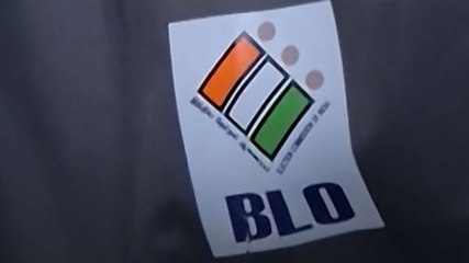 BLO Work Pressure: SIR में आखिर कितना काम? जानें...