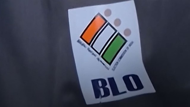 BLO Work Pressure: SIR में आखिर कितना काम? जानें...
