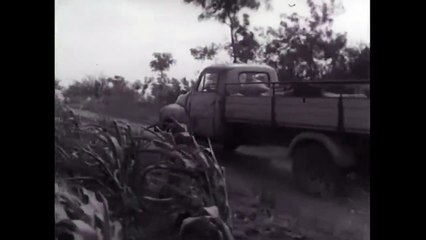 Kamiondzije 5 Epizoda