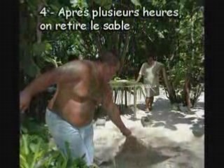 Motu Ahi à Moorea-Four Tahitien