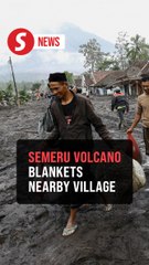 Mud and ash blanket Indonesian village after Semeru volcano erupts
