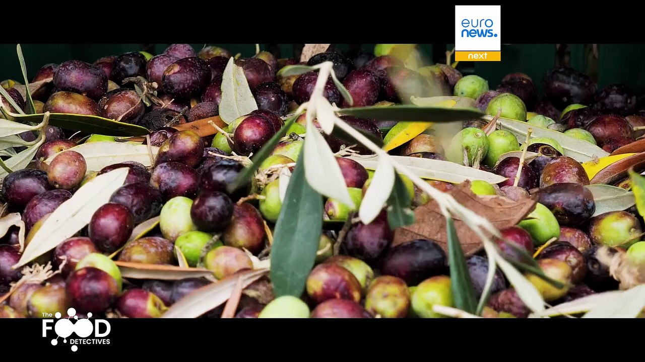 The Food Detectives: ein tragbares DNA-Testkit, um gefälschtes Olivenöl zu entlarven