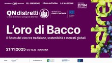 QN Distretti - L'oro di Bacco | Il futuro del vino