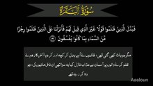 3730فَبَدَّلَ الَّذِیۡنَ ظَلَمُوۡا قَوۡلًا غَیۡرَ الَّذِیۡ