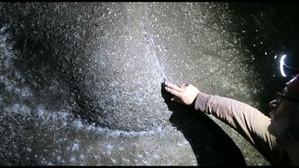 Scoperta una ragnatela gigante con 111.000 ragni