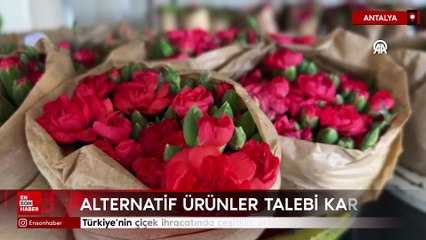 Türkiye'nin çiçek ihracatında çeşitlilik artıyor