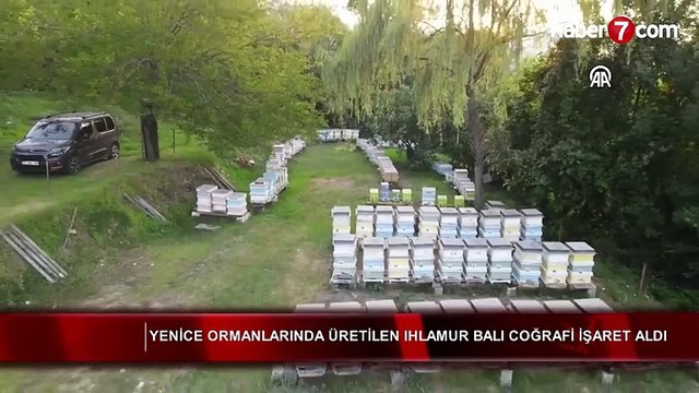 Yenice Ihlamur Balı AB’den coğrafi işaret tescili aldı!