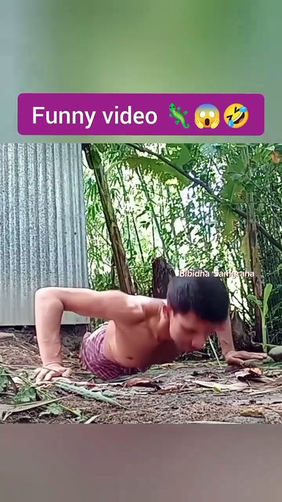 [Funny Shorts Video 🦎🤣funny