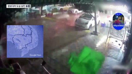 가로수 빨아들인 초강력 돌풍 ‘풍웡’