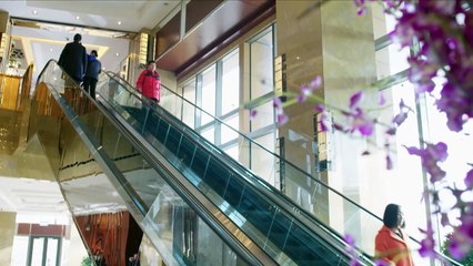 HOA KHÔI VÀ CẢNH KHUYỂN - Tập 32 (Lồng Tiếng) | Phim Hành Động Cảnh Sát Hình Sự Hay Nhất