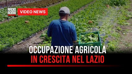 Occupazione agricola in crescita nel Lazio
