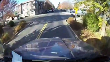 worlds best semi truck dash cam footage #51 (2025)