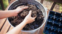 You’re Probably Paying for “Organic” Soil Additives That Do Nothing