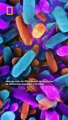 ¿Hasta qué punto el estrés afecta a lo que pasa en nuestro cuerpo?