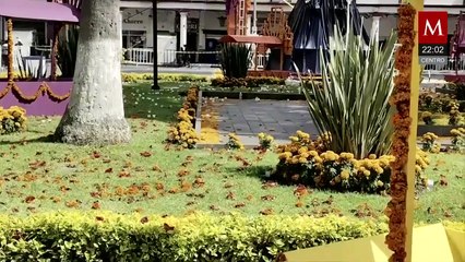 Ejecutar a Carlos Manzo aun acompañado, la orden del 'R1'