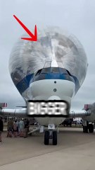 UGLIEST PLANE EVER? #fact #facts #shorts