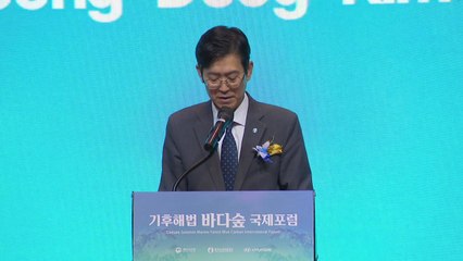 '바다 숲' 국제 포럼...신규 탄소흡수원 '해조류' 논의 / YTN