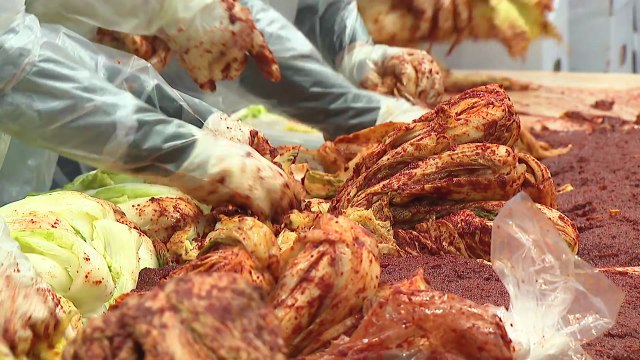 [부산] 사랑의 김치 나눔...만여 포기 어려운 이웃에 전달 / YTN