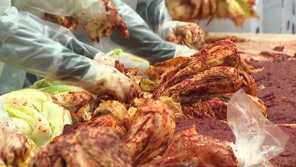 [부산] 사랑의 김치 나눔...만여 포기 어려운 이웃에 전달 / YTN