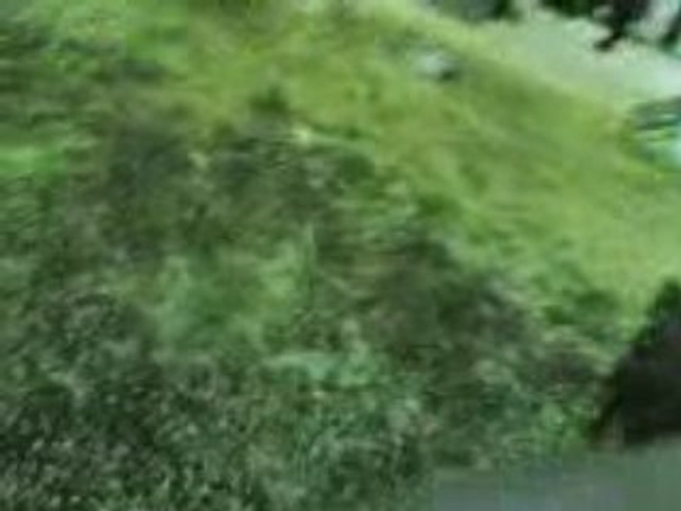 Concert 14/03/08 Marseille TH [Dehors]