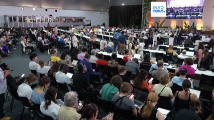 COP30: Επετεύχθη συμφωνία για το κλίμα, αλλά επικρίνεται ως «αδύναμη»