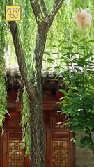 FOUR AND FEARLESS CHEFS, BEWARE